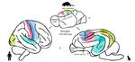 Domestic dogs as a comparative model for social neuroscience: Advances and challenges